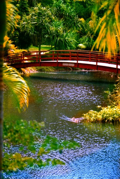 Great Sandy Region Botanical Gardens